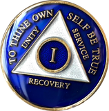 1 - 50 Year or 18 Month Blue Tri-Plate AA Medallion - RecoveryChip