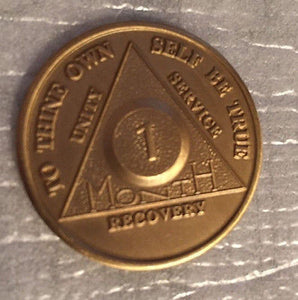 Set of 2 Alcoholics Anonymous 30 Day Recovery Coin Chip Medallion Token AA Days - RecoveryChip