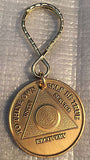 Alcoholics Anonymous Bronze AA Key Chain Recovery Medallion Keychain Fob Tag - RecoveryChip