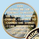 Ride Sober Ride Free Flames & Black Eagle Recovery Medallion Coin Chip Colored - RecoveryChip