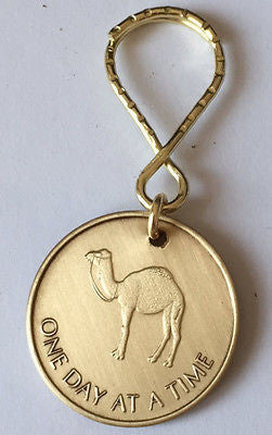 Camel One Day At A Time Key Chain Tag Medallion Chip AA Alcoholics Anonymous - RecoveryChip