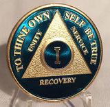 Blue & Gold Plated Any Year 1 - 65 AA Chip Alcoholics Anonymous Medallion Coin - RecoveryChip