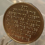 Purple & Bronze Butterfly Serenity Prayer Recovery Medallion Chip Coin AA NA - RecoveryChip