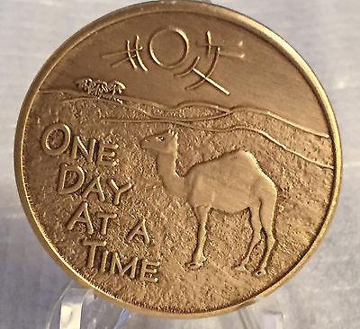 Camel Desert Scene ODAAT One Day At A Time Camel Poem Bronze Sobriety Medallion - RecoveryChip