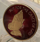 But For The Grace of God Serenity Prayer Medallion Chip Coin AA NA Praying Hands - RecoveryChip