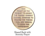 Lot of 5 Butterfly Serenity Prayer Bronze AA Al-Anon Recovery Medallion Coin - RecoveryChip