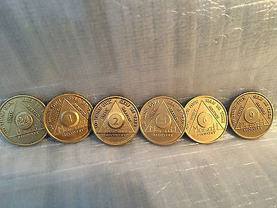 Lot of 6 Alcoholics Anonymous AA Bronze 24hrs 1 2 3 6 9 Month Medallions Chips - RecoveryChip
