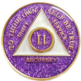 AA Medallion Purple Glitter Tri-Plate Sobriety Chip Year 1 - 45 - RecoveryChip