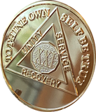 21 Year AA Medallion 1.5" Large Challenge Coin Premium 22k Gold Plated Sobriety Chip