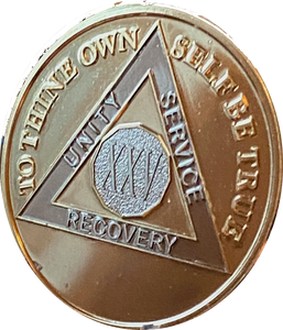 25 Year AA Medallion 1.5" Large Challenge Coin Premium 22k Gold Plated Sobriety Chip