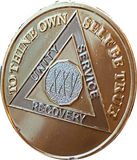 25 Year AA Medallion 1.5" Large Challenge Coin Premium 22k Gold Plated Sobriety Chip