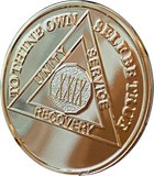 29 Year AA Medallion 1.5" Large Challenge Coin Premium 22k Gold Plated Sobriety Chip