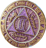 1 2 3 4 or 5 Year AA Medallion Cosmic Purple Glitter Gold Plated Sobriety Chip