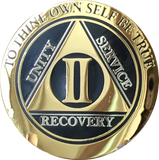 2 Year AA Medallion Elegant Black Gold & Silver Plated RecoveryChip Design - RecoveryChip