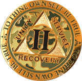 1 - 15 25 and 30 Year Reflex Camo Gold Plated AA Medallion Camouflage Sobriety Chip - RecoveryChip