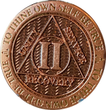 2 Year Copper Plated AA Medallion Reflex Black Design By Recoverychip.com