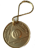 AA Medallion Bronze Keychain Month 1 2 3 4 5 6 7 8 9 10 11 or 18 Keytag - RecoveryChip