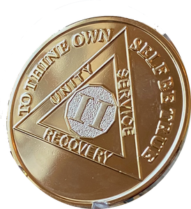 2 Year AA Medallion 1.5" Large Challenge Coin Premium 22k Gold Plated Sobriety Chip