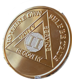 2 Year AA Medallion 1.5" Large Challenge Coin Premium 22k Gold Plated Sobriety Chip