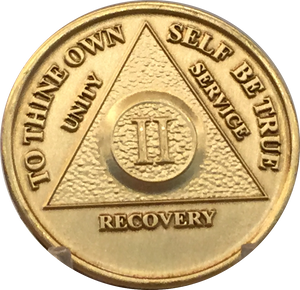 AA Medallion Year 1 - 65  Bronze Sobriety Chip Alcoholics Anonymous Coin - RecoveryChip