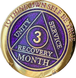 1 2 3 6 9 or 18 Month Elegant Purple Glitter AA Medallion Sobriety Chip