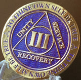 1 - 10 Year AA Medallion Reflex Purple Gold Plated