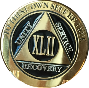 42 Year AA Medallion Elegant Black Gold & Silver Plated RecoveryChip Design