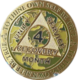 Set of 11 Recoverychip Gold Plated Month AA Medallions Months 1 2 3 4 5 6 7 8 9 10 11
