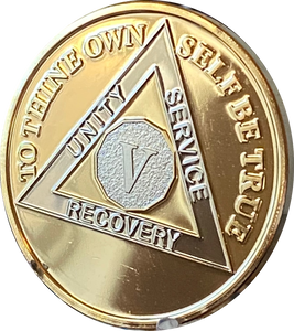 5 Year AA Medallion 1.5" Large Challenge Coin Premium 22k Gold Plated Sobriety Chip