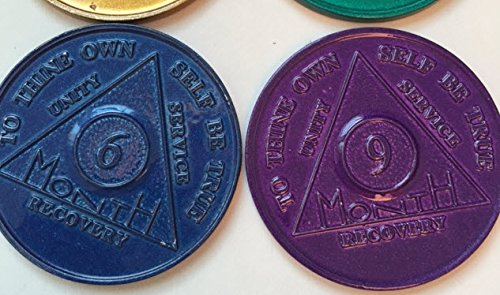 6 Pack of AA Medallions Aluminum Set 1 2 3 6 9 Month & 24 Hours