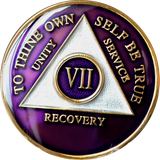 Purple Gold Tri-Plate AA Medallion 24 Hours 18 Month Year 1 - 45 Sobriety Chip - RecoveryChip
