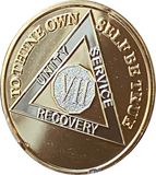 7 Year AA Medallion 1.5" Large Challenge Coin Premium 22k Gold Plated Sobriety Chip