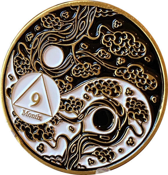 9 Month AA Medallion Ying Yang Black and White Serenity Prayer Chip