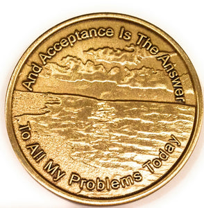 Acceptance Bronze AA Medallion Page 449 - RecoveryChip