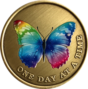 Color Rainbow Butterfly One Day At A Time Medallion Serenity Prayer Bronze Chip - RecoveryChip