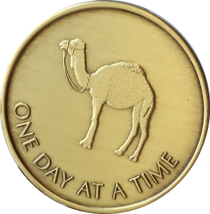 Camel One Day At A Time Greatest Possession 24 Hours Ahead Bronze Medallion Sobriety Chip - RecoveryChip