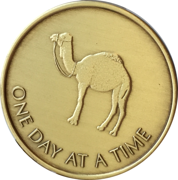 Camel One Day At A Time Greatest Possession 24 Hours Ahead Bronze Medallion Sobriety Chip - RecoveryChip