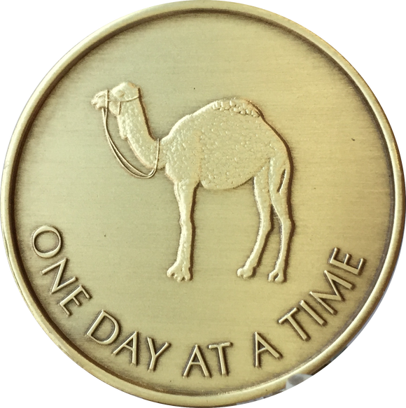 Camel One Day At A Time Serenity Prayer Medallion Bronze Sobriety Chip Coin - RecoveryChip