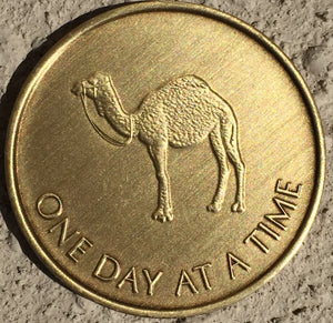 Camel One Day At A Time - Serenity Prayer Bronze AA Alcoholics Anonymous Medallion Chip - RecoveryChip