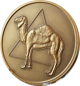 Large Camel Triangle AA Medallion 1.5" Size Bronze Sobriety Chip