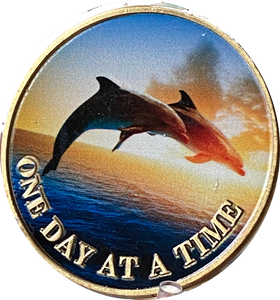 Dolphins Swimming Ocean One Day at A Time Medallion Serenity Prayer Chip…