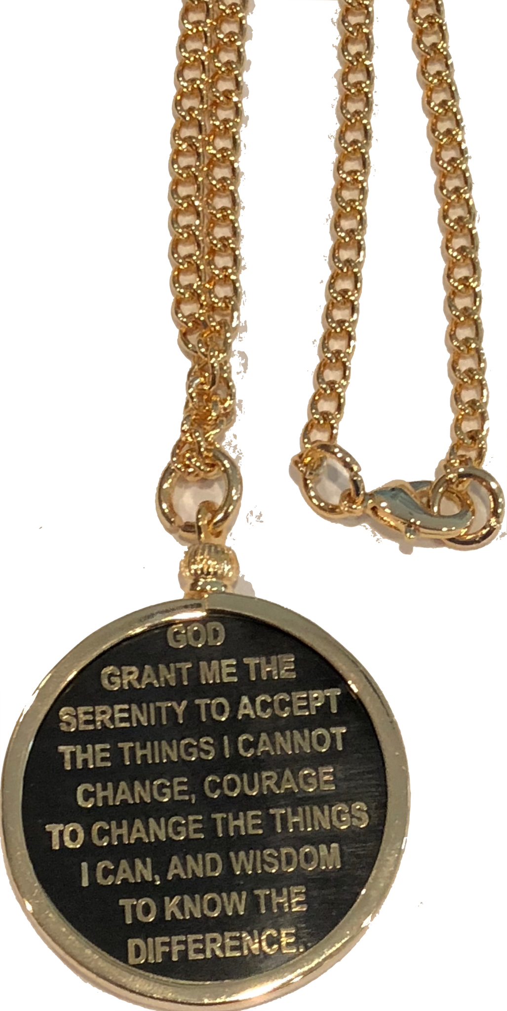 Recoverychip Reflex or Elegant AA Medallion Chip Holder Necklace