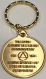 God's Will = Daily Reprieve = Freedom AA Medallion Keychain - RecoveryChip