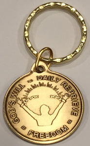 God's Will = Daily Reprieve = Freedom AA Medallion Keychain - RecoveryChip