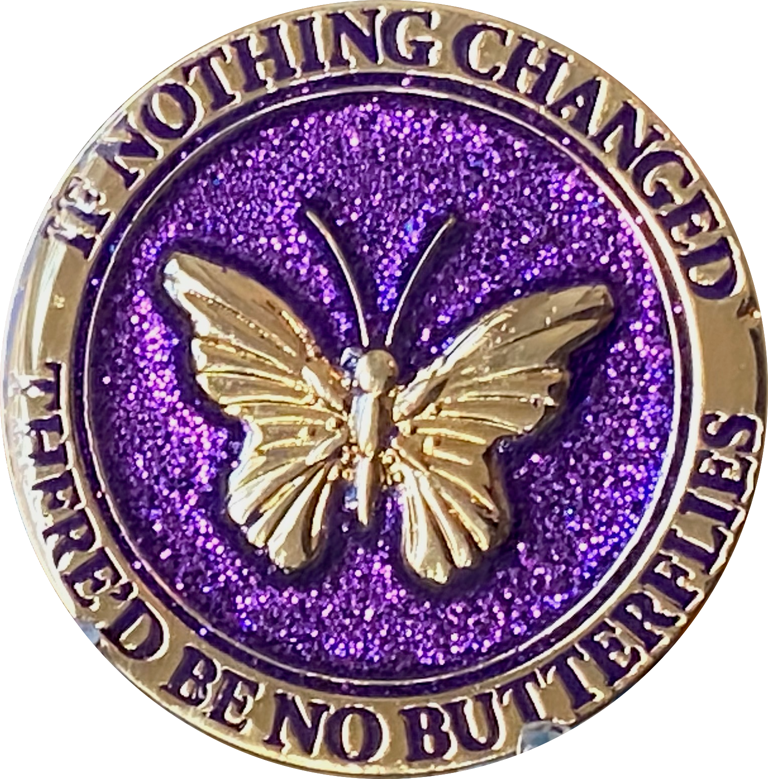 Butterfly If Nothing Changed There'd Be No Butterflies