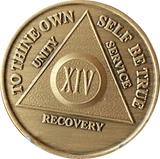 AA Medallion Bronze Sobriety Chip Year 1 - 65 Wendells Anniversary Coin