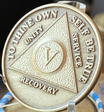Bulk Set Year 1 - 65 AA Medallions Bronze Sobriety Chips Full Set of All Medallion Years Made