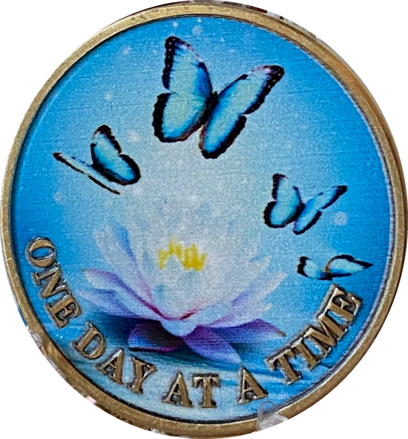 Butterflies Purple Lotus Flower One Day at A Time Medallion Serenity Prayer Chip