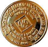 NA Medallion Gold Plated Year 1 - 40 Official Sobriety Chip - RecoveryChip