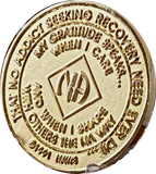 1 Year NA Medallion Highly Polished Clean Time Official Narcotics Anonymous Chip